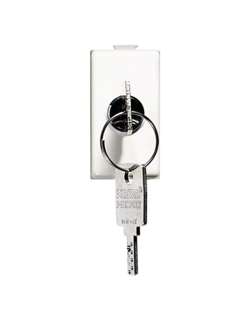 Bticino MATIX 2P 10A NO AM5007P key switch