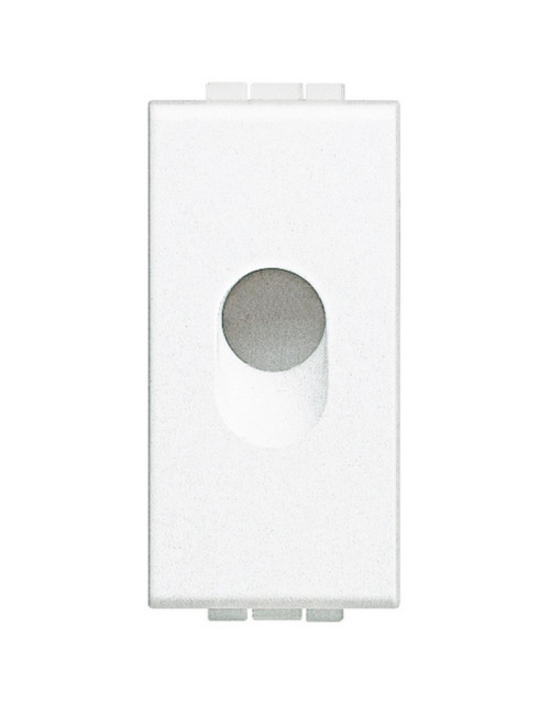 Faux module Bticino Livinglight avec trou