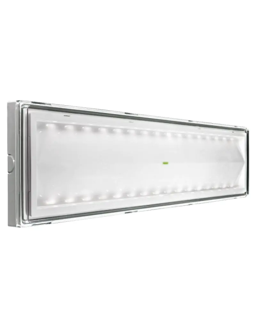 Beghelli SA Lámpara de emergencia 18W LED IP42 longitud 55cm 8585