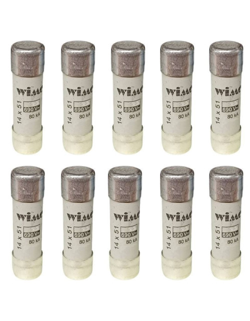 Wimex CH14 GG fuse 25A 690V 14x51 mm 10pcs 5400225