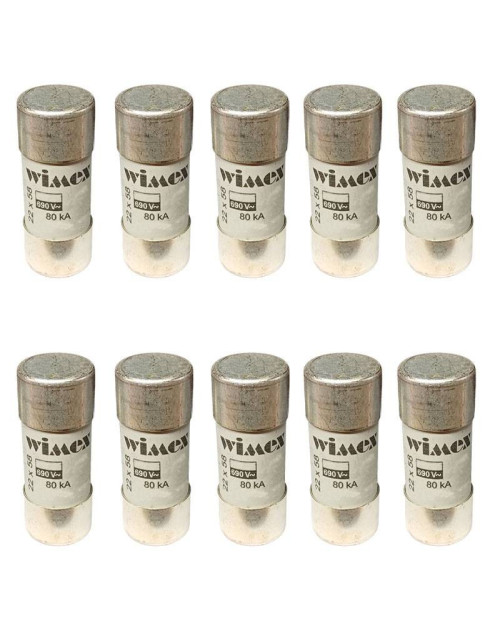 Wimex CH22 GG fuse 100A 690V 22x58 mm 10pcs 5400390