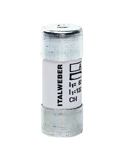 Italweber cylindrical fuse 22 x 58 mm CH22 gG 100A 500V