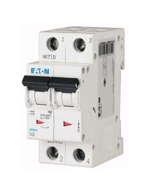 Eaton 10A 2P 6KA 2 Module Circuit Breaker