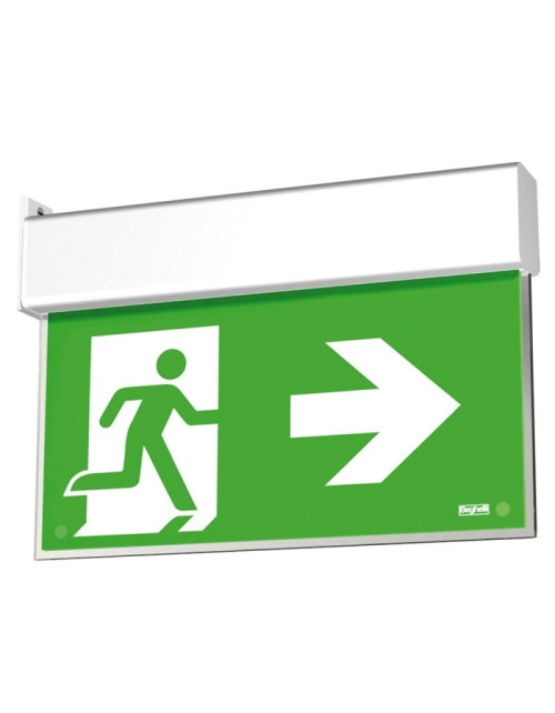 Beghelli SA Emergency Lamp UP FLAG LED EXIT