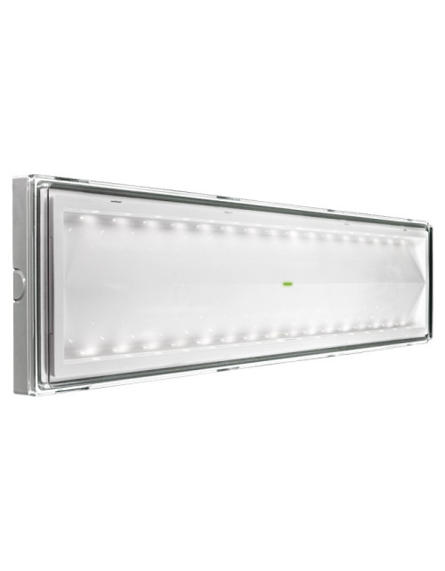 Lámpara de Emergencia Beghelli SE 18W LED IP42 longitud 55cm