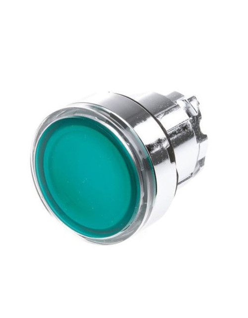 Tête de bouton lumineuse Telemecanique LED verte