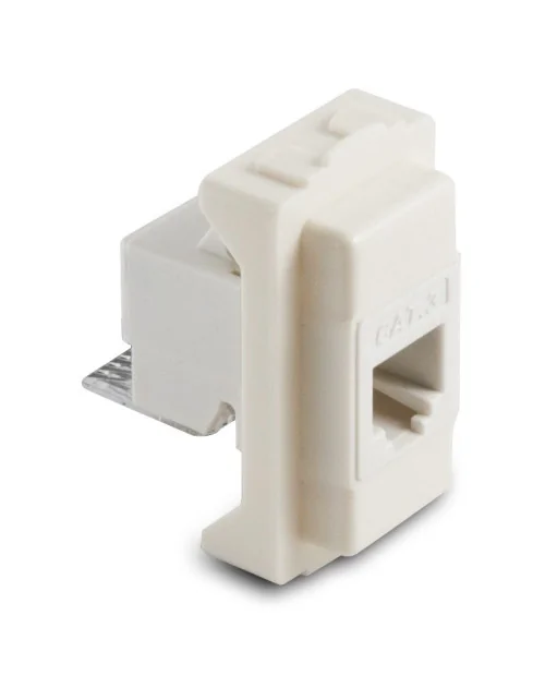 Master 16000 RJ12-Stecker 6|4 6095 Telefonbuchse