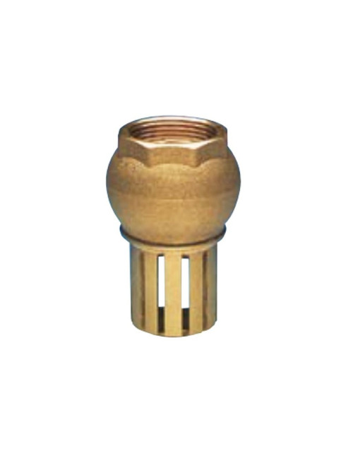 Enolgas foot valve with strainer size 2-1/2 H0041S10