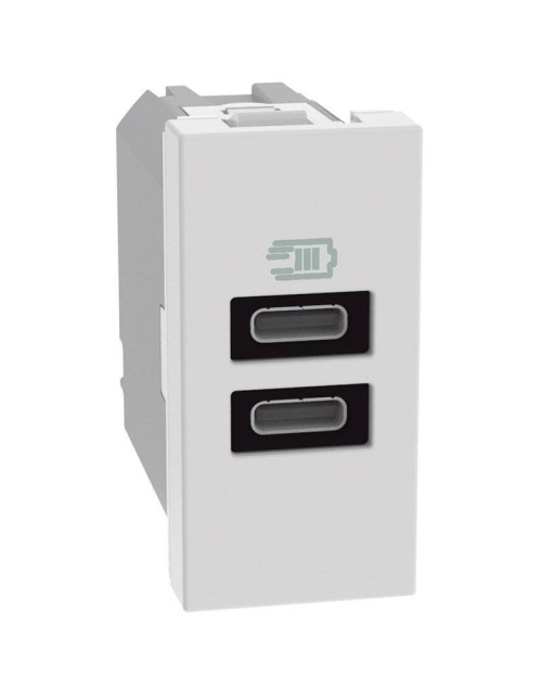 Cargador USB Bticino MatixGO 15W con 2 Puertos Tipo C Blanco JW4191CC