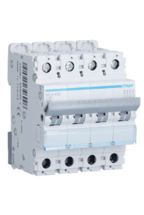 Disjoncteur Magnétothermique Résidenciel 2P 6kA 10-40A Courbe C