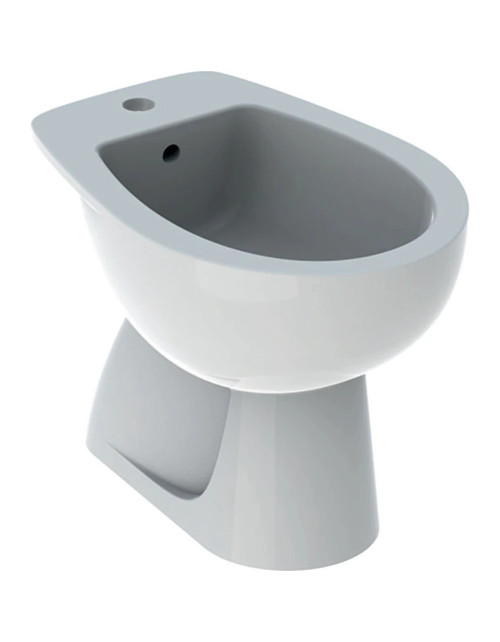 Geberit COLIBRI' Bidet a pavimento Bianco 500.889.00.1