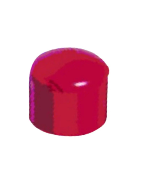 Red end-of-line cap in ABS Notifier FAA-C25R