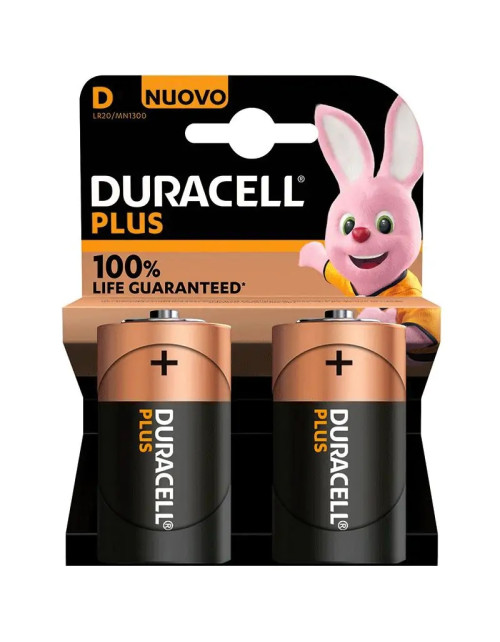 Duracell MN1300 Batterie Lampe de Poche 1,5V Blister de 2 pièces 302415000