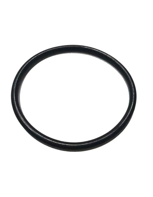 Pucci Oring 147 gasket for extractable seat and shank 80006596