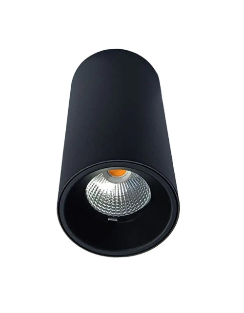 Projecteur LED Ilmas cylindrique de plafond 12W 3000K 1620 lm Noir 05357BN2