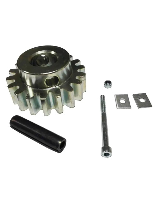 Came -Ritzelteilung 4 für BK 1200/1800-Motoren 119RIBK002