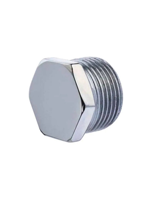 Oter Hex Plug with Steel Pipe Thread M 1 Inch 29206