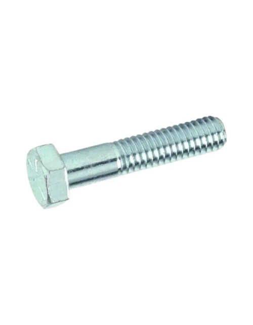 Galvanized screw for Valvorobica flanges M12 L 50 mm V1250